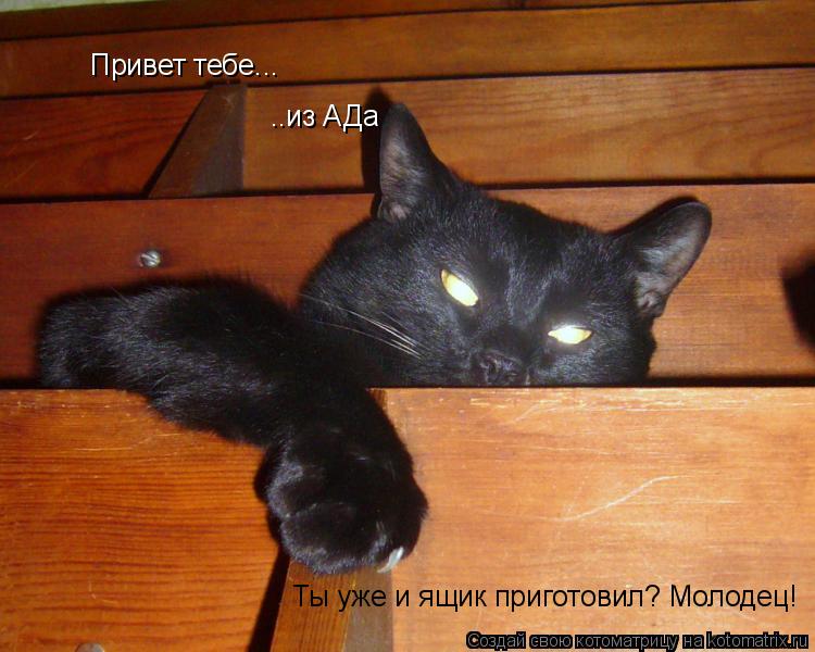 Привет тебе... ..из АДа Ты уже и ящик приготовил? Молодец!... Котоматрица: Привет тебе... ..из АДа Ты уже и ящик приготовил? Молодец!