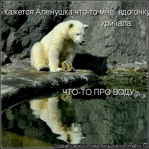 кажется Аленушка что-то мне вдогонку кричала... ЧТО-ТО ПРО ВОДУ ...... Котоматрица: кажется Аленушка что-то мне вдогонку кричала... ЧТО-ТО ПРО ВОДУ ...