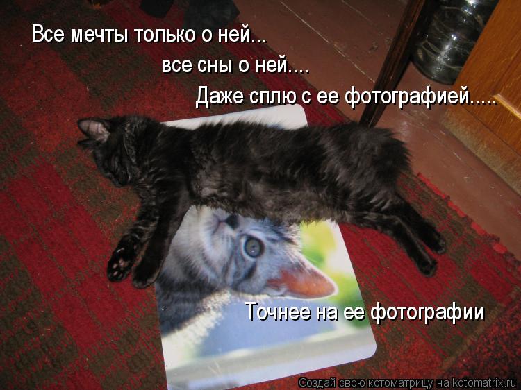 Все мечты только о ней... все сны о ней.... Даже сплю с ее фотографией..... Точнее на ее фотографии... Котоматрица: Все мечты только о ней... все сны о ней.... Даже сплю с ее фотографией..... Точнее на ее фотографии