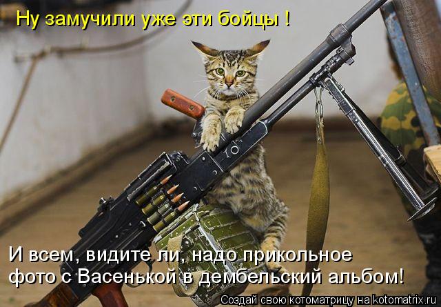 Котоматрица: Ну замучили уже эти бойцы ! И всем, видите ли, надо прикольное  фото с Васенькой в дембельский альбом!