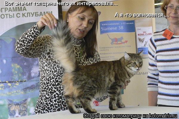 Вот значит толщина чего их интересовала... А я -то волновался....... Котоматрица: Вот значит толщина чего их интересовала... А я -то волновался....