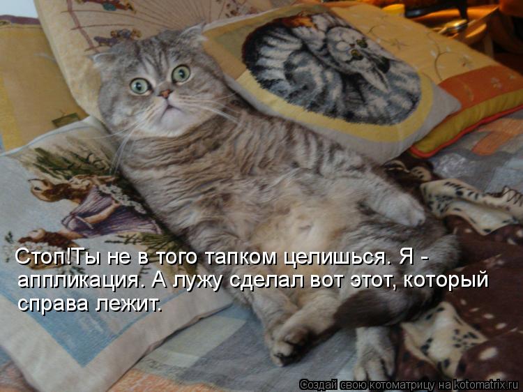 аппликация. А лужу сделал вот этот, который Стоп!Ты не в того тапком целишься. Я - справа лежит.... Котоматрица: аппликация. А лужу сделал вот этот, который Стоп!Ты не в того тапком целишься. Я - справа лежит.