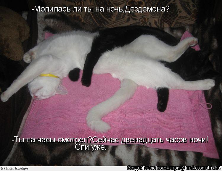 Котоматрица: -Молилась ли ты на ночь,Дездемона? -Ты на часы смотрел?Сейчас двенадцать часов ночи! Спи уже.