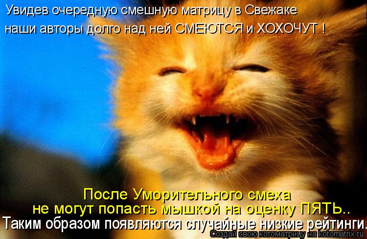 Увидев очередную смешную матрицу в Свежаке наши авторы долго над ней СМЕЮТСЯ и ХОХОЧУТ ! Таким образо... Котоматрица: Увидев очередную смешную матрицу в Свежаке наши авторы долго над ней СМЕЮТСЯ и ХОХОЧУТ ! Таким образом появляются случайные низкие рейтинг