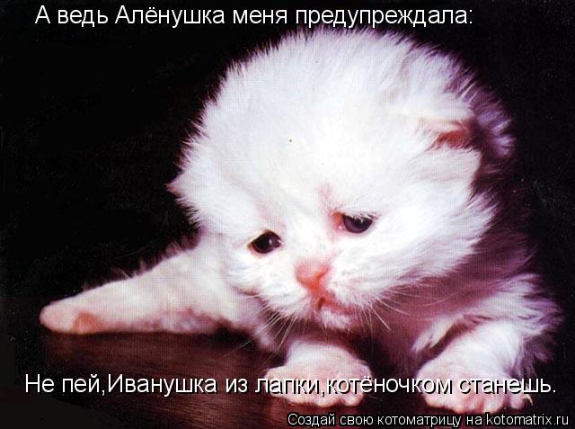 Котоматрица: Не пей,Иванушка из лапки,котёночком станешь. А ведь Алёнушка меня предупреждала: