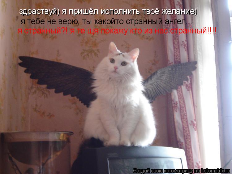 здраствуй) я пришёл исполнить твоё желание) я тебе не верю, ты какойто странный ангел... я странный?!... Котоматрица: здраствуй) я пришёл исполнить твоё желание) я тебе не верю, ты какойто странный ангел... я странный?! я те щя покажу кто из нас странный!!!!