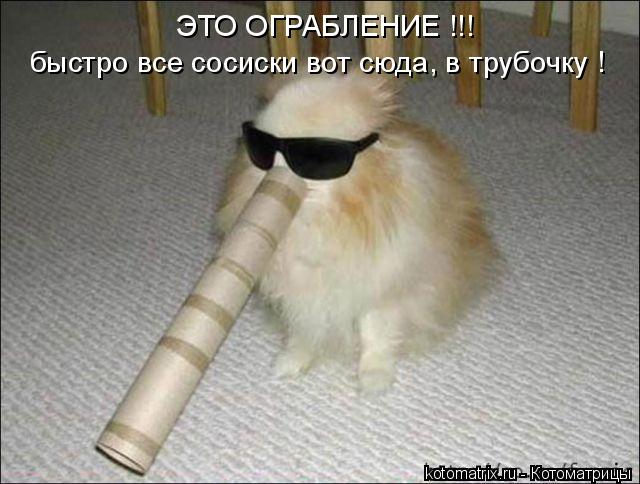 ЭТО ОГРАБЛЕНИЕ !!! быстро все сосиски вот сюда, в трубочку !... Котоматрица: ЭТО ОГРАБЛЕНИЕ !!! быстро все сосиски вот сюда, в трубочку !