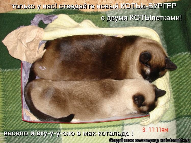 только у нас! отведайте новый КОТЫс-БУРГЕР с двумя КОТЫлетками! весело и вку-у-у-сно в мак-котальдс !... Котоматрица: только у нас! отведайте новый КОТЫс-БУРГЕР с двумя КОТЫлетками! весело и вку-у-у-сно в мак-котальдс !