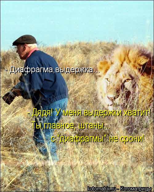 - Диафрагма,выдержка... - Дядя! У меня выдержки хватит! Ты,главное, штаны... с "диафрагмы" не срони!... Котоматрица: - Диафрагма,выдержка... - Дядя! У меня выдержки хватит! Ты,главное, штаны... с "диафрагмы" не срони!