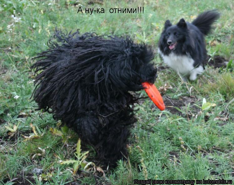 А ну-ка отними!!!... Котоматрица: А ну-ка отними!!!