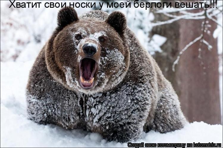 Хватит свои носки у моей берлоги вешать!!!... Котоматрица: Хватит свои носки у моей берлоги вешать!!!