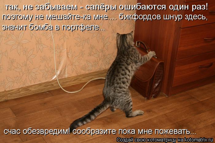 так, не забываем - сапёры ошибаются один раз! поэтому не мешайте-ка мне.... бикфордов шнур здесь, зна... Котоматрица: так, не забываем - сапёры ошибаются один раз! поэтому не мешайте-ка мне.... бикфордов шнур здесь, значит бомба в портфеле... счас обезвредим! со
