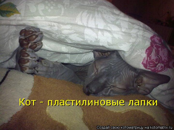Кот - пластилиновые лапки... Котоматрица: Кот - пластилиновые лапки
