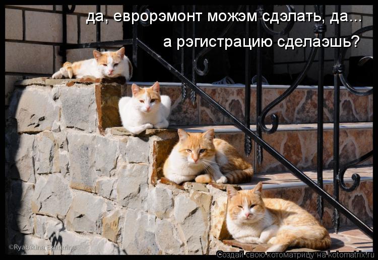 да, еврорэмонт можэм сдэлать, да... а рэгистрацию сделаэшь?... Котоматрица: да, еврорэмонт можэм сдэлать, да... а рэгистрацию сделаэшь?