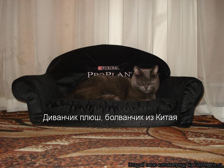 Диванчик плюш, болванчик из Китая... Котоматрица: Диванчик плюш, болванчик из Китая