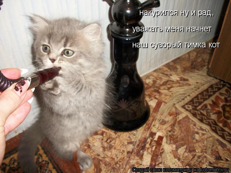 накурился ну и рад уважать меня начнет наш суворый тимка кот ,... Котоматрица: накурился ну и рад уважать меня начнет наш суворый тимка кот ,