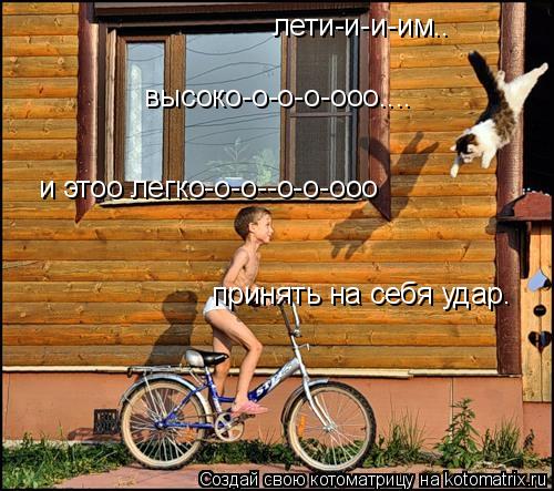 лети-и-и-им.. высоко-о-о-о-ооо.... и этоо легко-о-о--о-о-ооо принять на себя удар.... Котоматрица: лети-и-и-им.. высоко-о-о-о-ооо.... и этоо легко-о-о--о-о-ооо принять на себя удар.