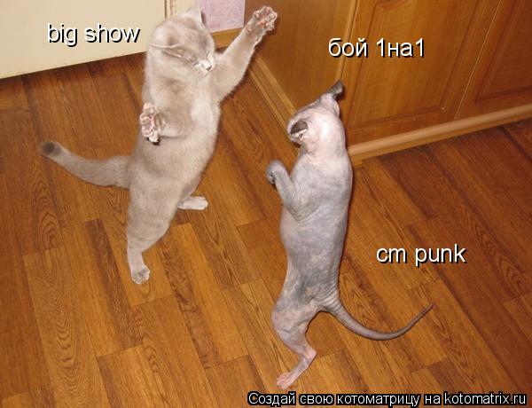 бой 1на1 big show cm punk... Котоматрица: бой 1на1 big show cm punk