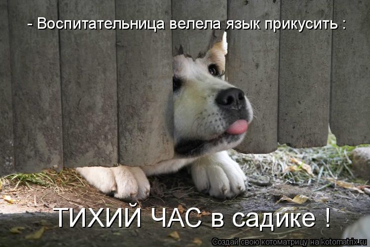 ТИХИЙ ЧАС в садике ! - Воспитательница велела язык прикусить :... Котоматрица: ТИХИЙ ЧАС в садике ! - Воспитательница велела язык прикусить :