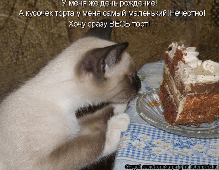 У меня же день рождение! А кусочек торта у меня самый маленький!Нечестно! Хочу сразу ВЕСЬ торт! Хочу ... Котоматрица: У меня же день рождение! А кусочек торта у меня самый маленький!Нечестно! Хочу сразу ВЕСЬ торт! Хочу сразу ВЕСЬ торт!