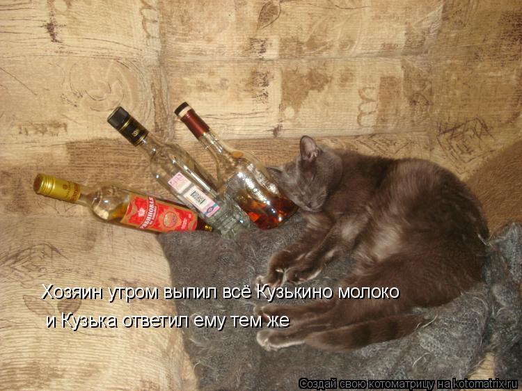 Хозяин утром выпил всё Кузькино молоко и Кузька ответил ему тем же... Котоматрица: Хозяин утром выпил всё Кузькино молоко и Кузька ответил ему тем же