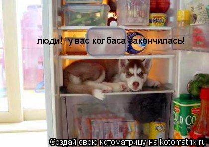 люди! у вас колбаса закончилась!... Котоматрица: люди! у вас колбаса закончилась!