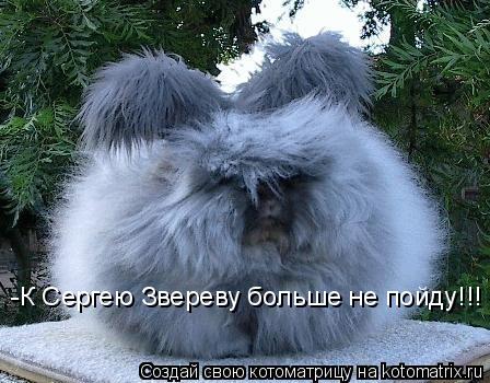 -К Сергею Звереву больше не пойду!!!... Котоматрица: -К Сергею Звереву больше не пойду!!!