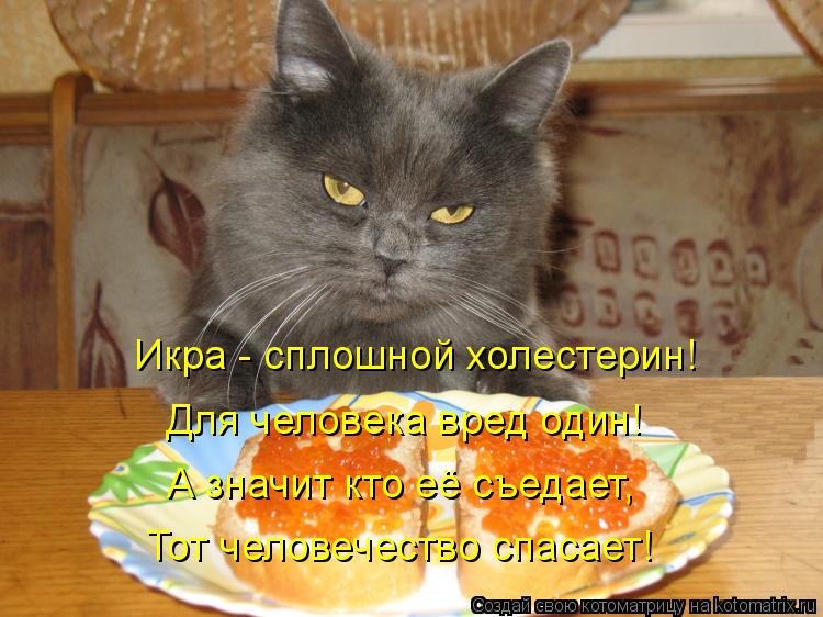 Икра - сплошной холестерин! Для человека вред один! А значит кто её съедает, Тот человечество спасает... Котоматрица: Икра - сплошной холестерин! Для человека вред один! А значит кто её съедает, Тот человечество спасает!