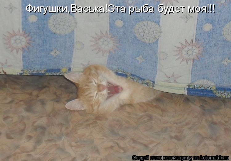 Фигушки,Васька!Эта рыба будет моя!!!... Котоматрица: Фигушки,Васька!Эта рыба будет моя!!!
