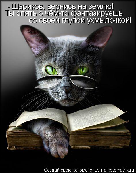 - Шариков, вернись на землю! Ты опять о чём-то фантазируешь со своей глупой ухмылочкой!... Котоматрица: - Шариков, вернись на землю! Ты опять о чём-то фантазируешь со своей глупой ухмылочкой!