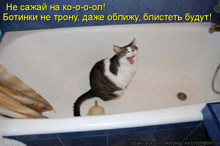 Не сажай на ко-о-о-ол! Ботинки не трону, даже оближу, блистеть будут!... Котоматрица: Не сажай на ко-о-о-ол! Ботинки не трону, даже оближу, блистеть будут!