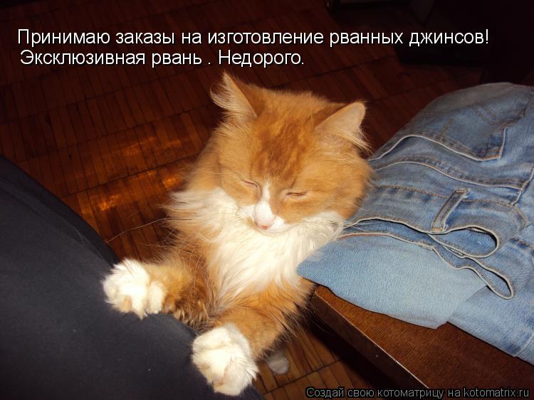 Принимаю заказы на изготовление рванных джинсов! Эксклюзивная рвань . Недорого.... Котоматрица: Принимаю заказы на изготовление рванных джинсов! Эксклюзивная рвань . Недорого.