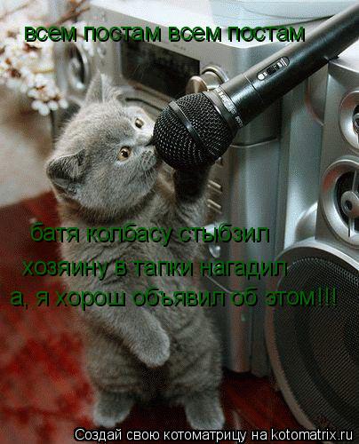 всем постам всем постам батя колбасу стыбзил хозяину в тапки нагадил а, я хорош объявил об этом !!!... Котоматрица: всем постам всем постам батя колбасу стыбзил хозяину в тапки нагадил а, я хорош объявил об этом !!!