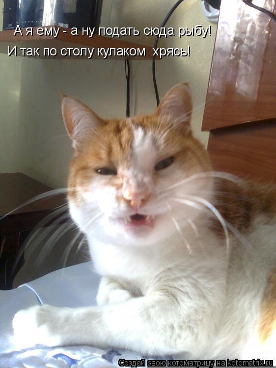 Котоматрица: И так по столу кулаком  хрясь! А я ему - а ну подать сюда рыбу!