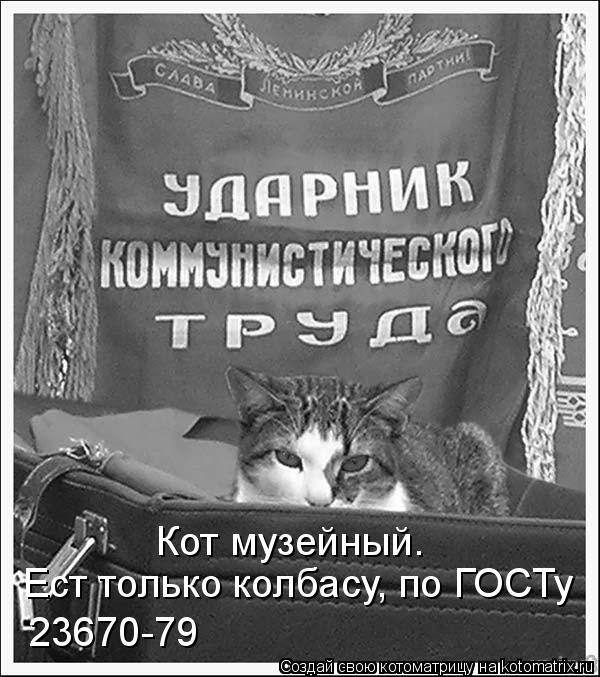 Кот музейный. Ест только колбасу, по ГОСТу 23670-79... Котоматрица: Кот музейный. Ест только колбасу, по ГОСТу 23670-79