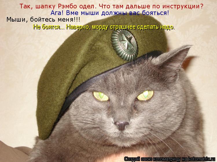 Котоматрица: Так, шапку Рэмбо одел. Что там дальше по инструкции? Ага! Вме мыши должны вас бояться! Мыши, бойтесь меня!!! Не боятся... Наверно, морду страшнее