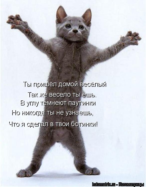 Котоматрица: Ты пришёл домой весёлый Так же весело ты ешь. В углу темнеют паутинки Но никогда ты не узнаешь, Что я сделал в твои ботинки!