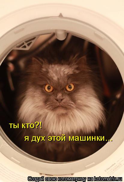 Котоматрица: ты кто?! я дух этой машинки...