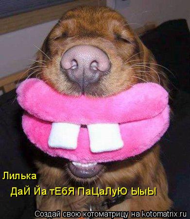 Котоматрица: ДаЙ Йа тЕбЯ ПаЦаЛуЮ ЫыЫ Лилька