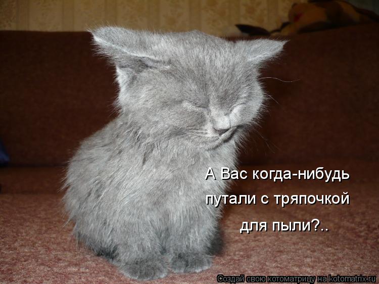 Котоматрица: А Вас когда-нибудь путали с тряпочкой для пыли?..