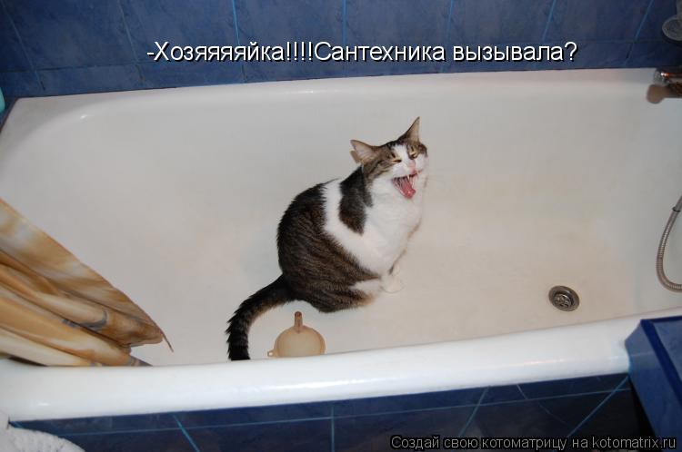 Котоматрица: -Хозяяяяйка!!!!Сантехника вызывала?