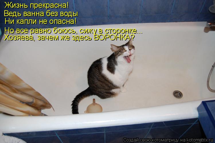 Ни капли не опасна! Жизнь прекрасна! Ведь ванна без воды Но все равно боюсь... Котоматрица: Ни капли не опасна! Жизнь прекрасна! Ведь ванна без воды Но все равно боюсь, сижу в сторонке... Хозяева, зачем же