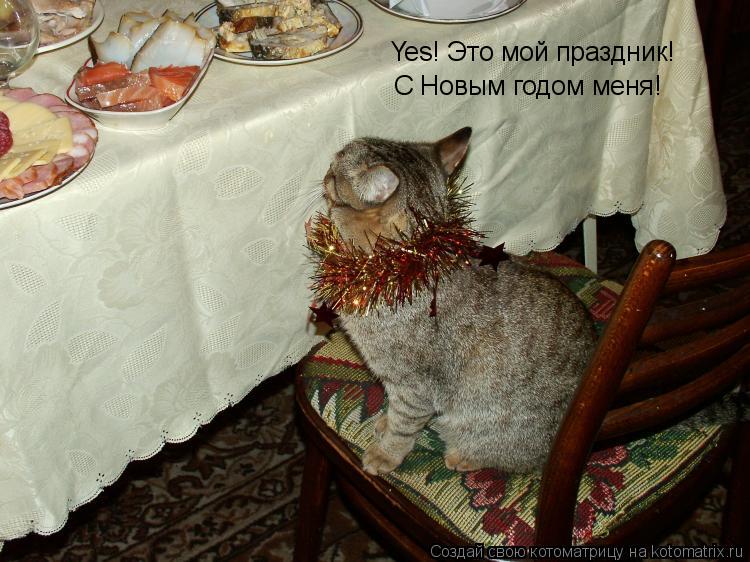 Yes! Это мой праздник! С Новым годом меня!... Котоматрица: Yes! Это мой праздник! С Новым годом меня!