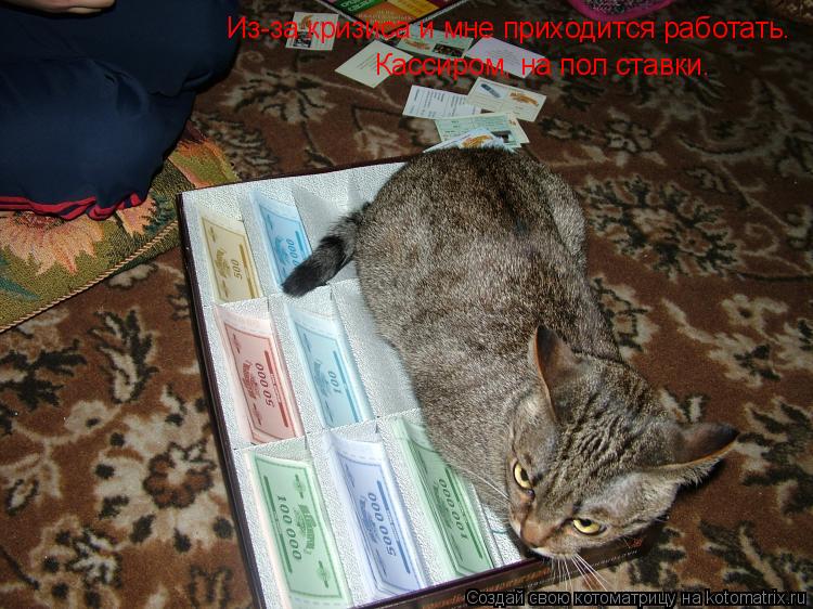Из-за кризиса и мне приходится работать. Кассиром, на пол ставки.... Котоматрица: Из-за кризиса и мне приходится работать. Кассиром, на пол ставки.