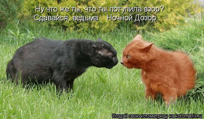 Ну что же ты, что ты потупила взор? Сдавайся, ведьма – «Ночной Дозор».... Котоматрица: Ну что же ты, что ты потупила взор? Сдавайся, ведьма – «Ночной Дозор».
