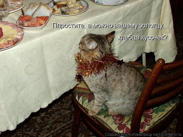 Ппростите, а можно вашему золотцу... хлебца кусочек?... Котоматрица: Ппростите, а можно вашему золотцу... хлебца кусочек?