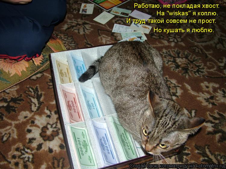 Работаю, не покладая хвост. На "wiskas" я коплю. И труд такой совсем не прост. Но кушать я люблю.... Котоматрица: Работаю, не покладая хвост. На "wiskas" я коплю. И труд такой совсем не прост. Но кушать я люблю.