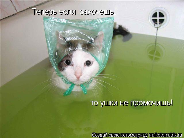 Теперь если захочешь, то ушки не промочишь!... Котоматрица: Теперь если захочешь, то ушки не промочишь!