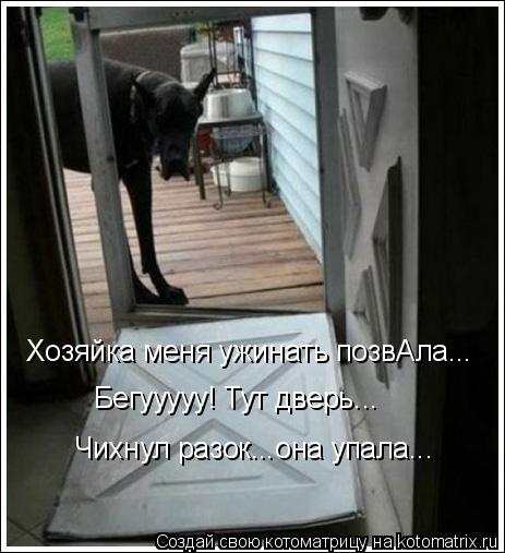 Хозяйка меня ужинать позвАла... Бегууууу! Тут дверь... Чихнул разок...она упала...... Котоматрица: Хозяйка меня ужинать позвАла... Бегууууу! Тут дверь... Чихнул разок...она упала...
