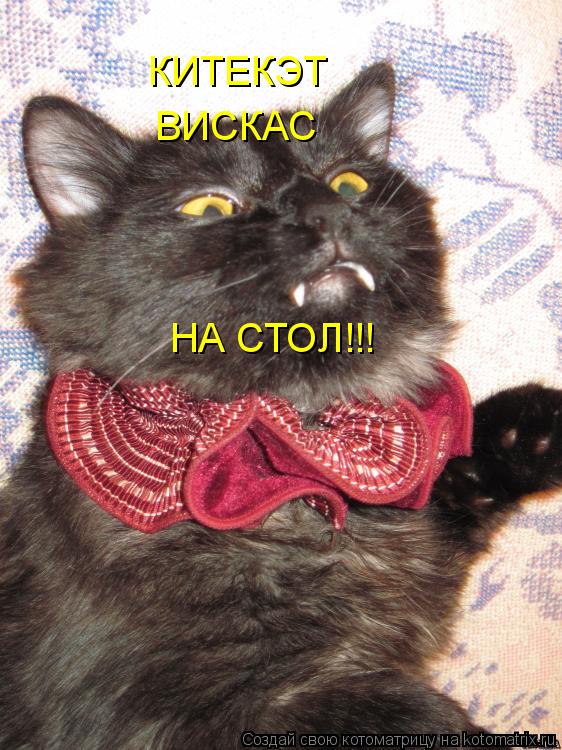 КИТЕКЭТ ВИСКАС НА СТОЛ!!!... Котоматрица: КИТЕКЭТ ВИСКАС НА СТОЛ!!!